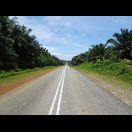 Die ersten Kilometer in Malaysia